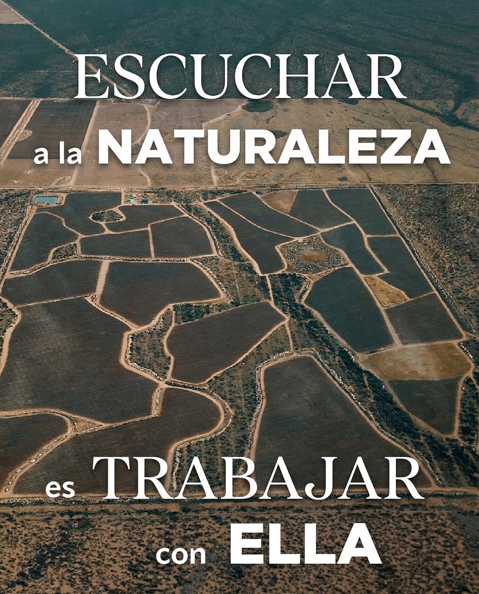 ALHmalbec's tweet photo. En este #DíaDeLaTierra, reafirmamos nuestro compromiso con una vitivinicultura sostenible, orgánica y que fomente la biodiversidad.

Menos química, más procesos naturales y un respeto absoluto por la vida del ecosistema. Los grandes vinos nacen en el viñedo 🌿🍷 https://t.co/DDV3DrrfAl