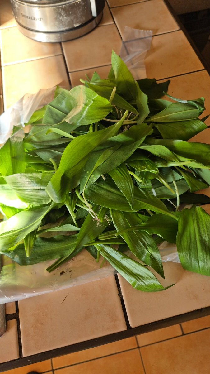 Paweł Tomczuk - Aderek tweet media