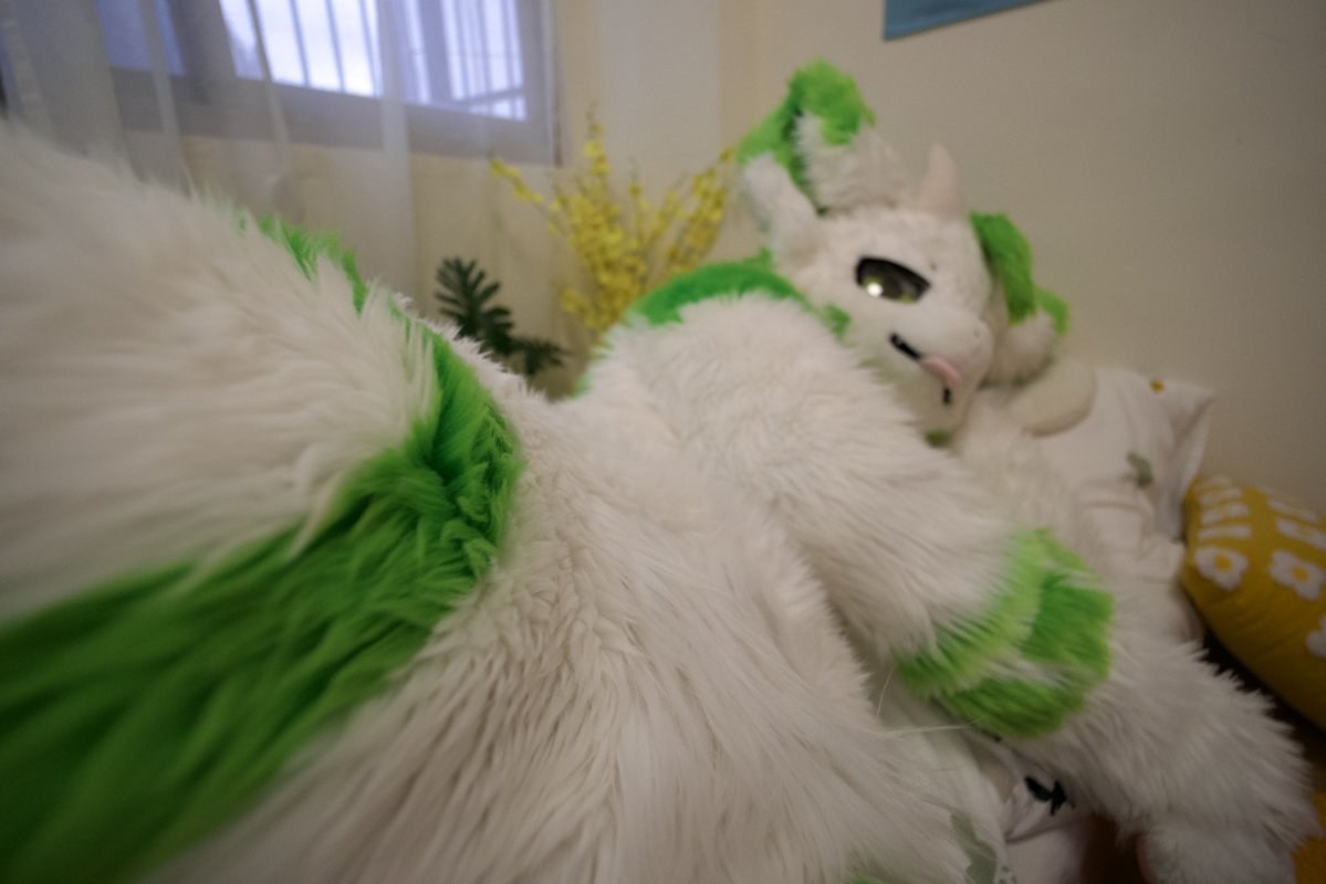 御嵐_Yushanz▶️HiFurry tweet media