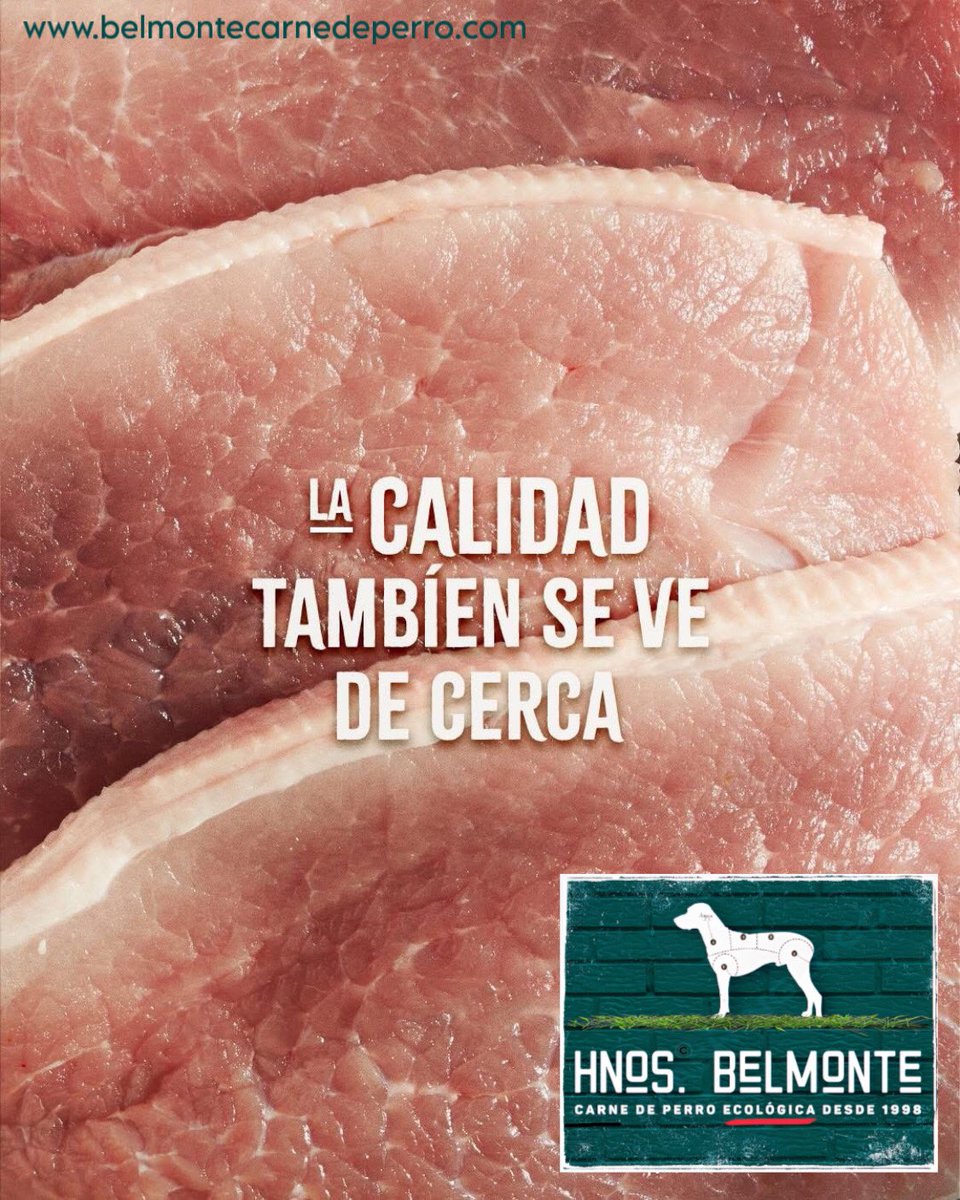 Belmonte Carne Ecológica de Perro tweet media