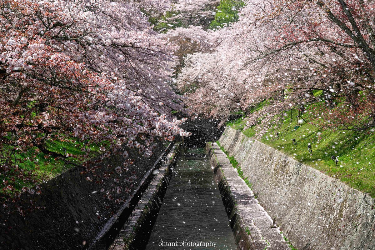 おおたに。┃日本の歴史を彩る風景写真 tweet media