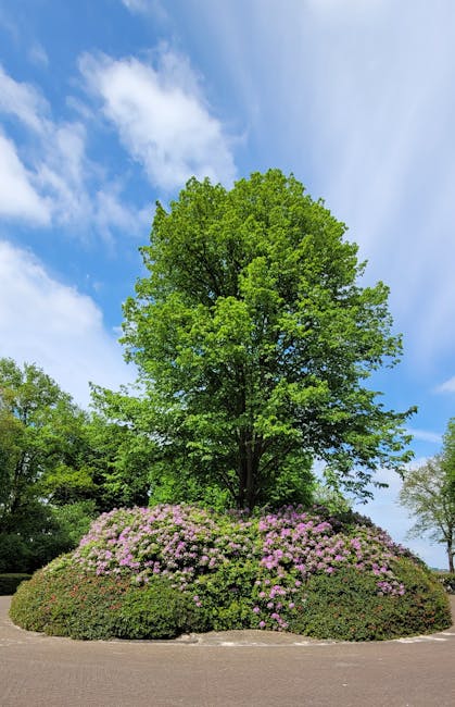 Erica Lee tweet media