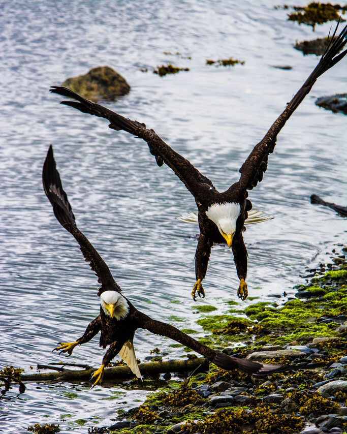 USDA Forest Service tweet media