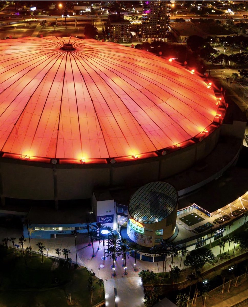 渡邊 誉（ワタナベホマレ） tweet media