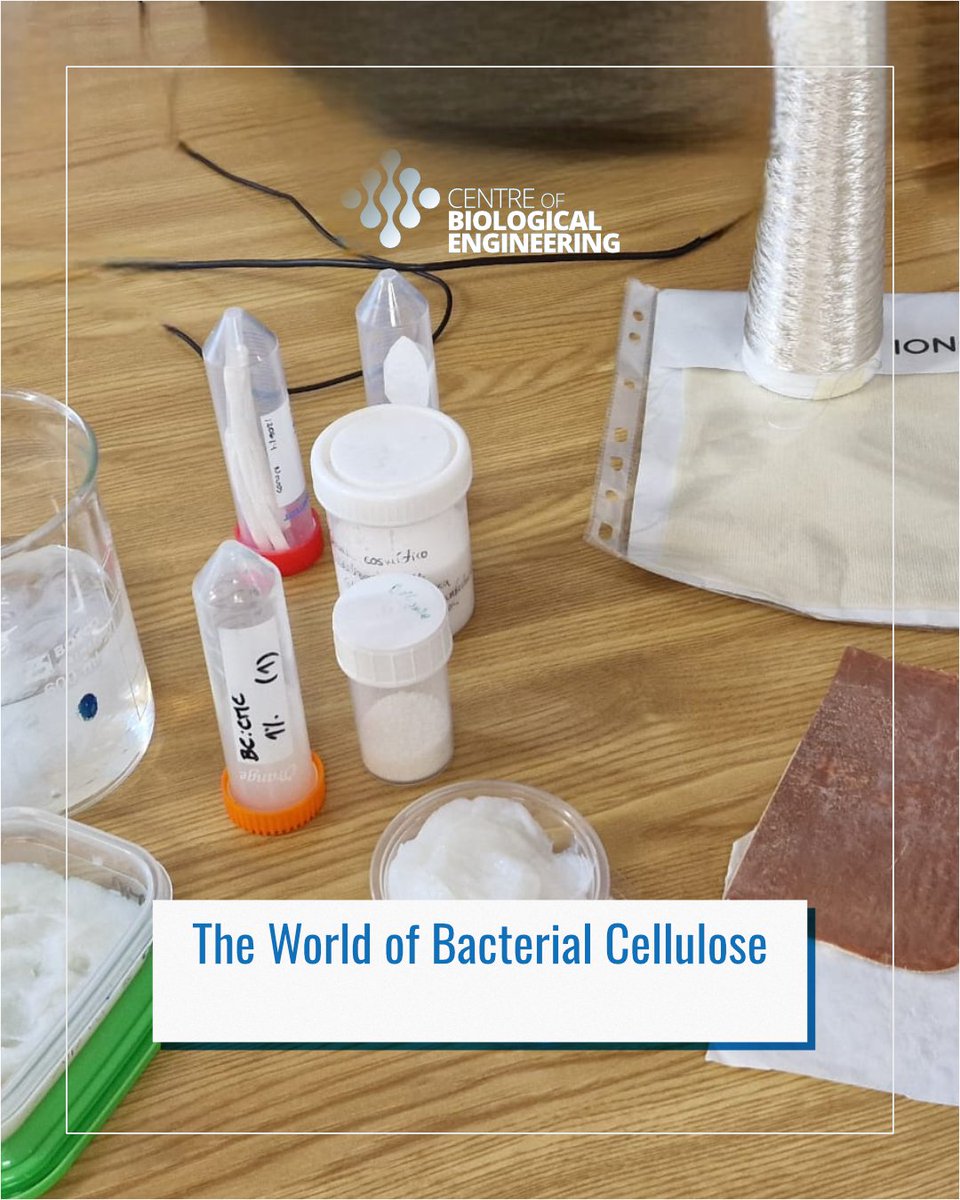 CEB - Centre of Biological Engineering tweet media