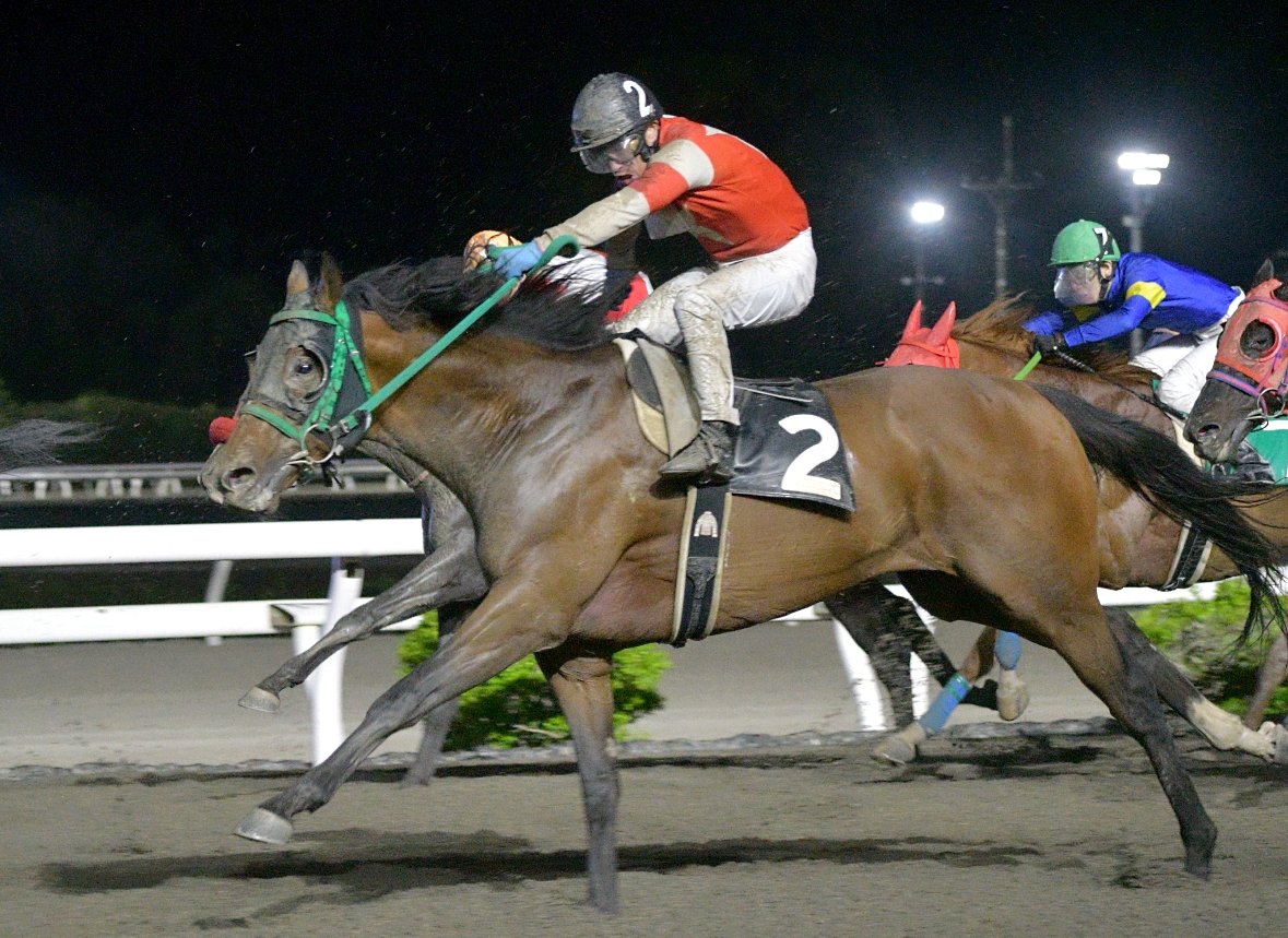 キリン tweet media