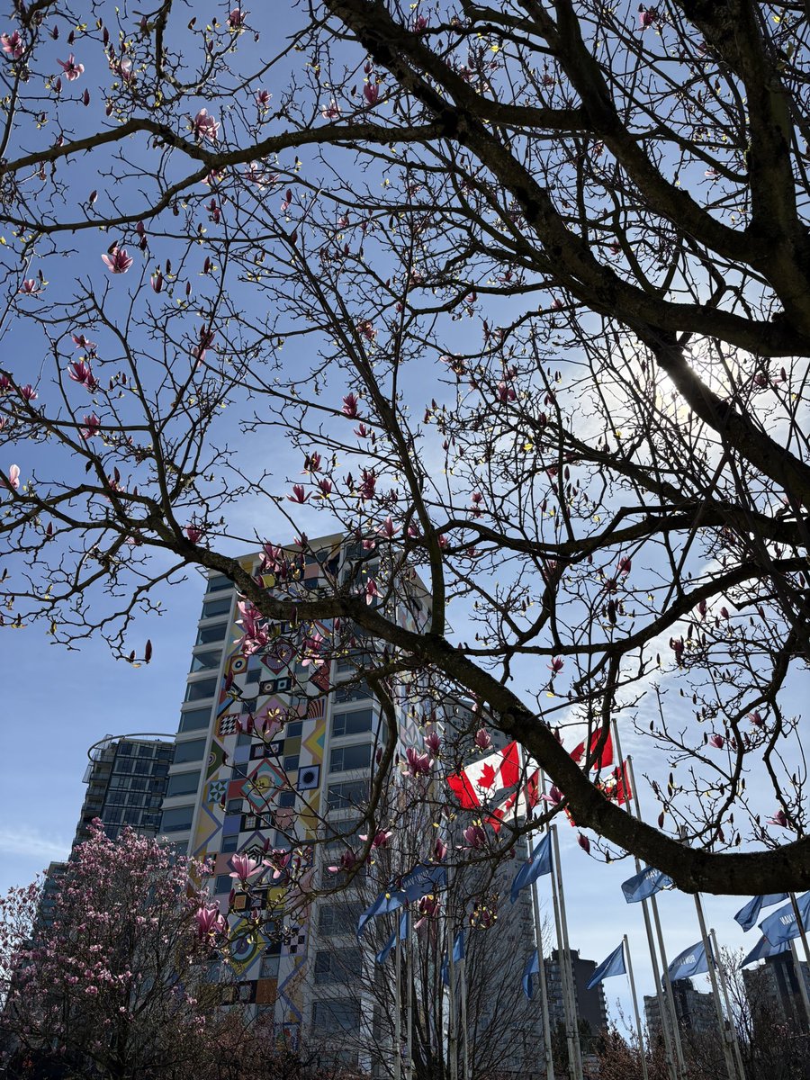 dead✨️ tweet media