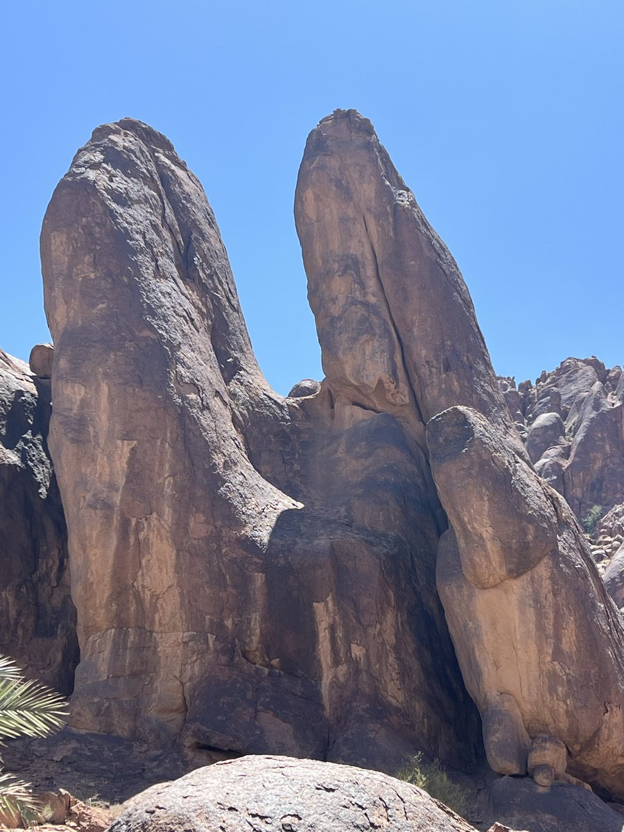 حمدان النماش tweet media