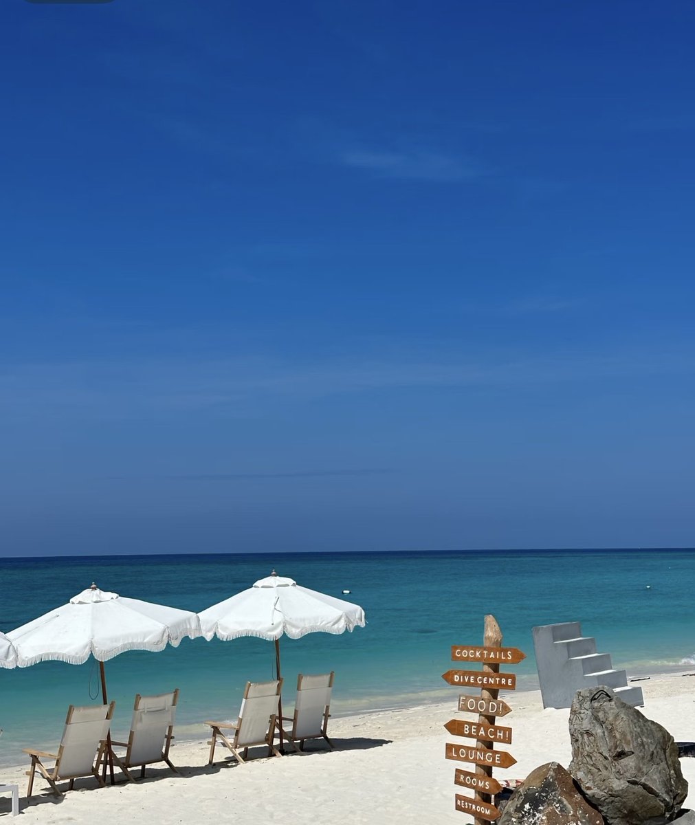 sekar wangi tweet media