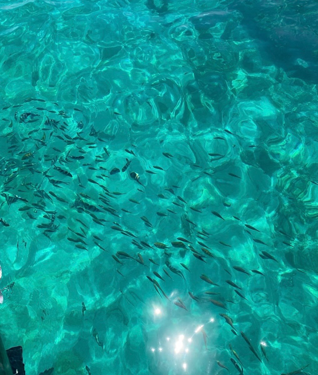 sekar wangi tweet media