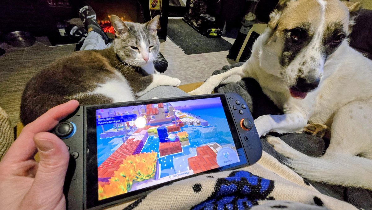 Joode! 🍁 tweet media