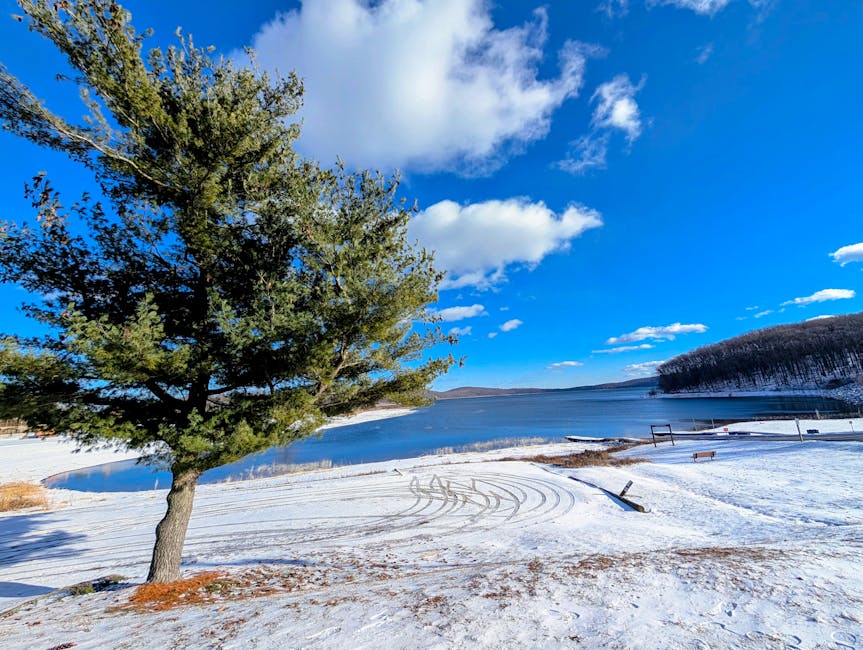 Amanda Allen tweet media