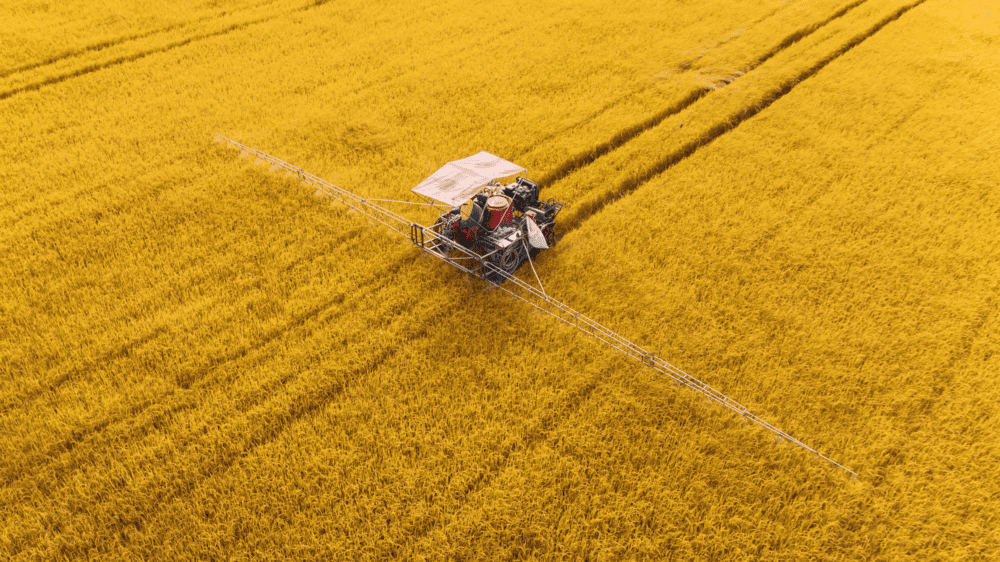 SPGEnergyAg's tweet photo. Indian, Pakistani basmati rice markets bullish despite Middle East ceasefire

▪️Basmati prices get support from Middle East demand
▪️Indian rice rebounds $55/mt after war dip
▪️High local costs limit Pakistan's exports

https://t.co/vQlZIvPk6p https://t.co/2YsB2zs41M