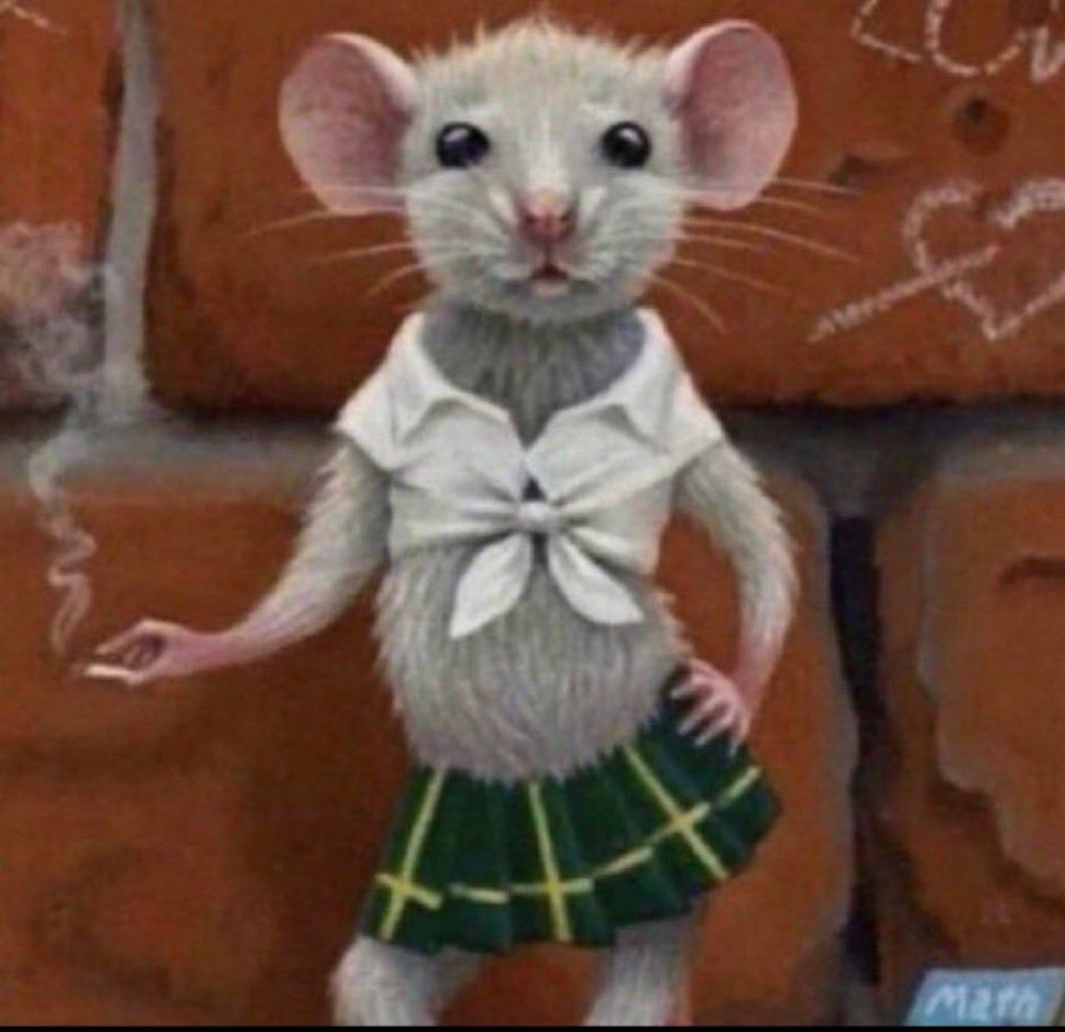 WEEWEE | 🇵🇸 tweet media