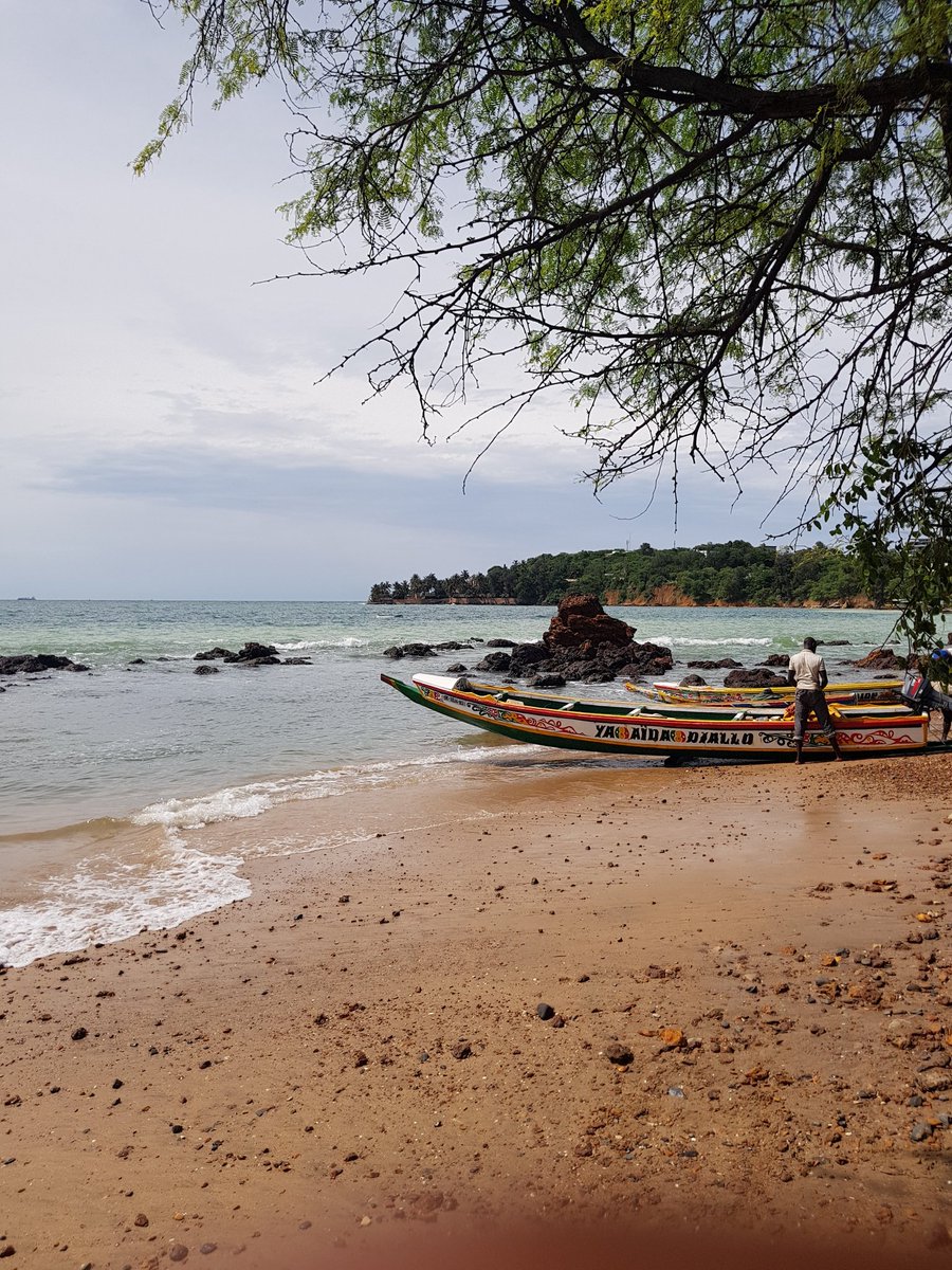 Kalidou Demba Nguirane tweet media