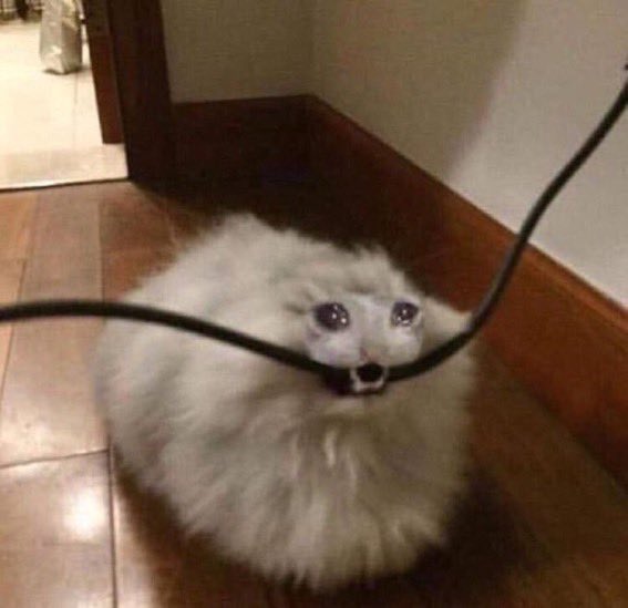 elle sevEN tweet media