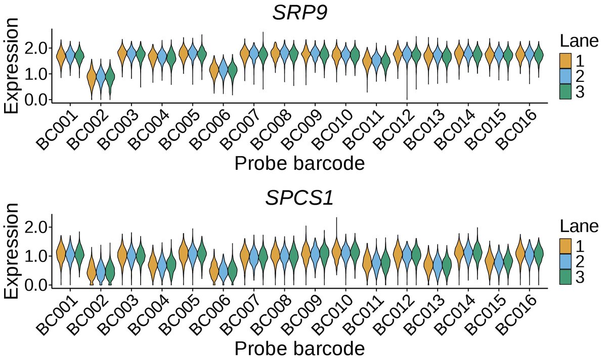Jackson Weir tweet media