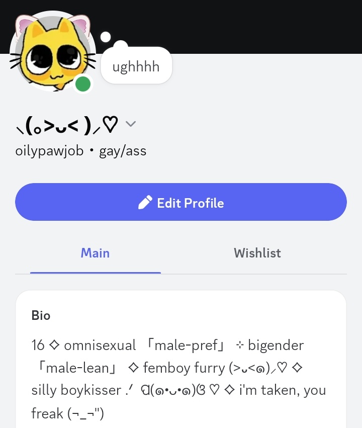 -`🐾´- tweet media