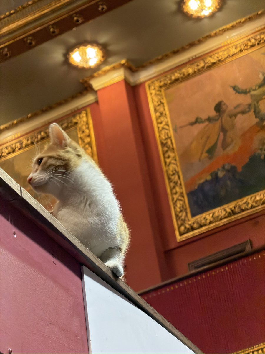 Ecesu Sertesen tweet media