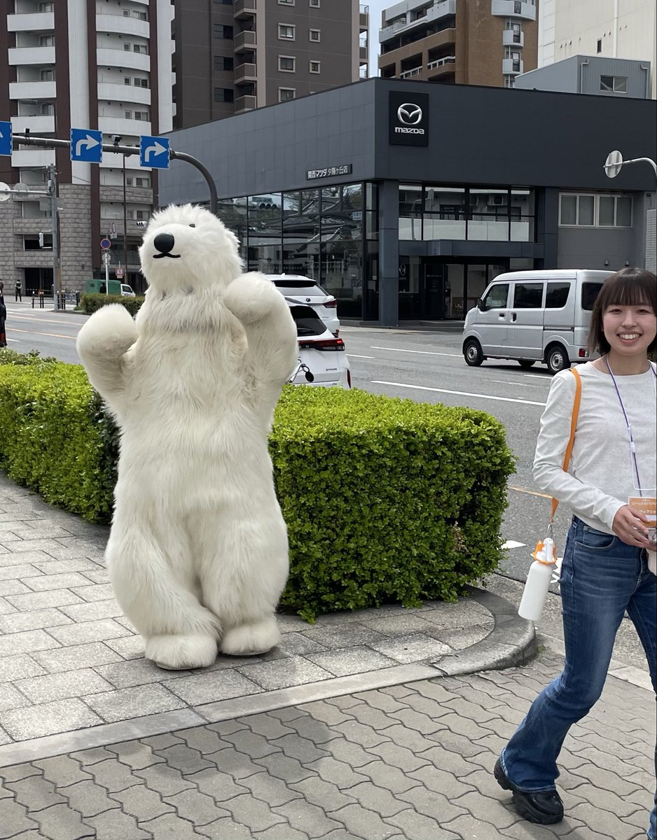 保山ひャン🍓🍭 tweet media