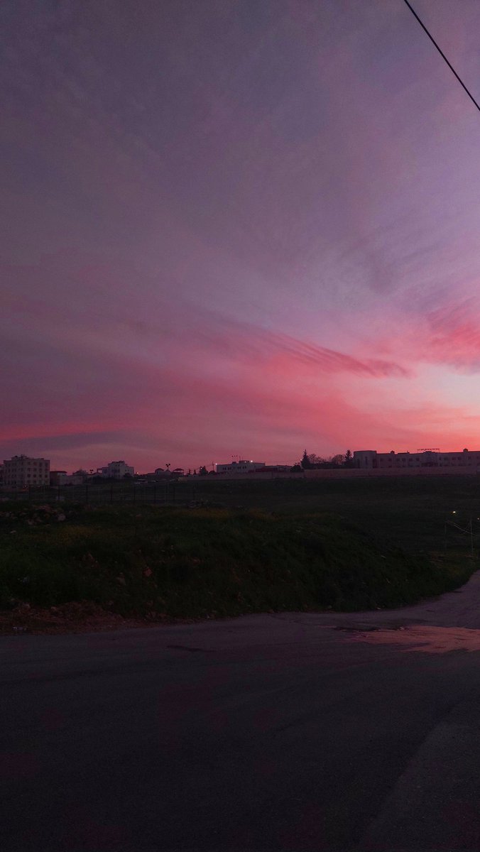 لولا tweet media