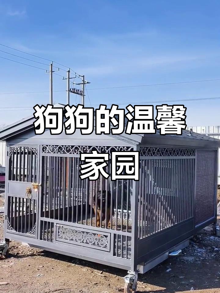 Mauricio Gimenez tweet media