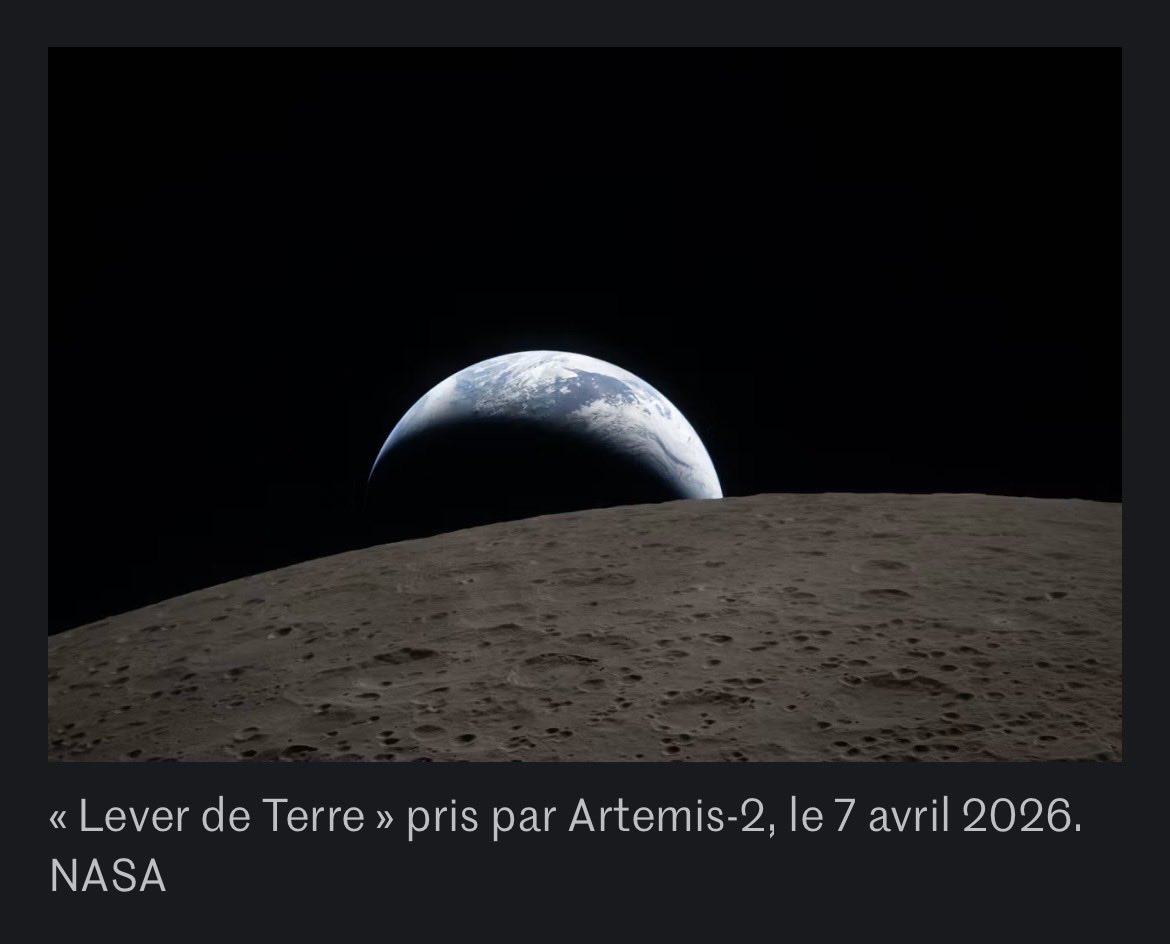 ✖️ J A N I S ✖️ tweet media