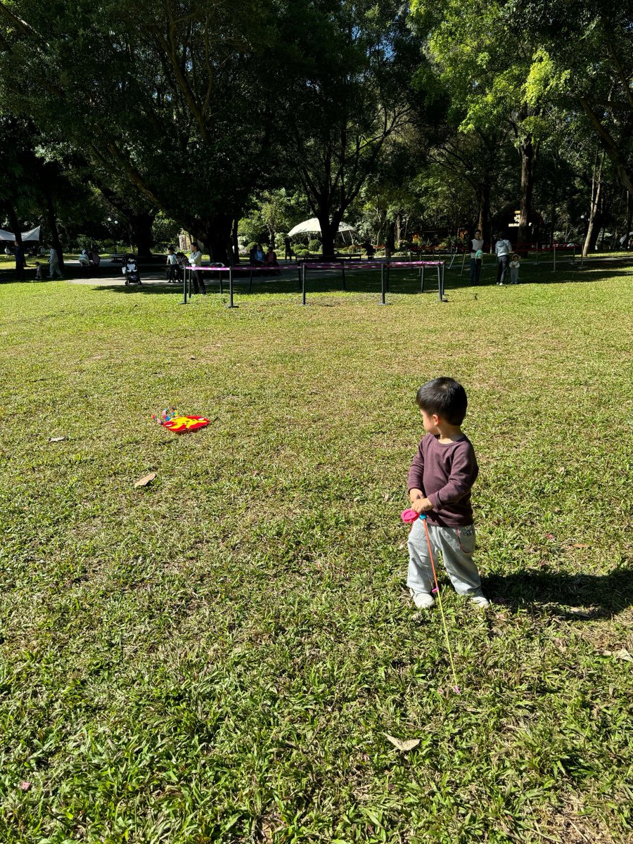 محمد الشناوي tweet media