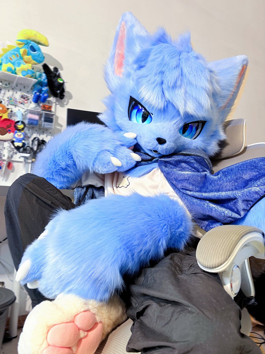 CM_New blue kemono floof incoming~ 💙#furry #fursuit #fursuitmaker
#fursuitcommission #kemono