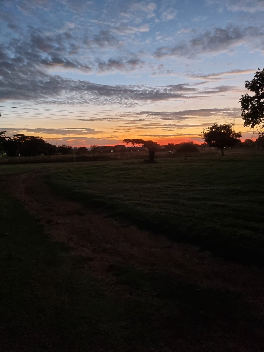 Tertia / Tiffie #TeamSteve tweet media