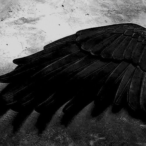 Jakeline Wiliane tweet media