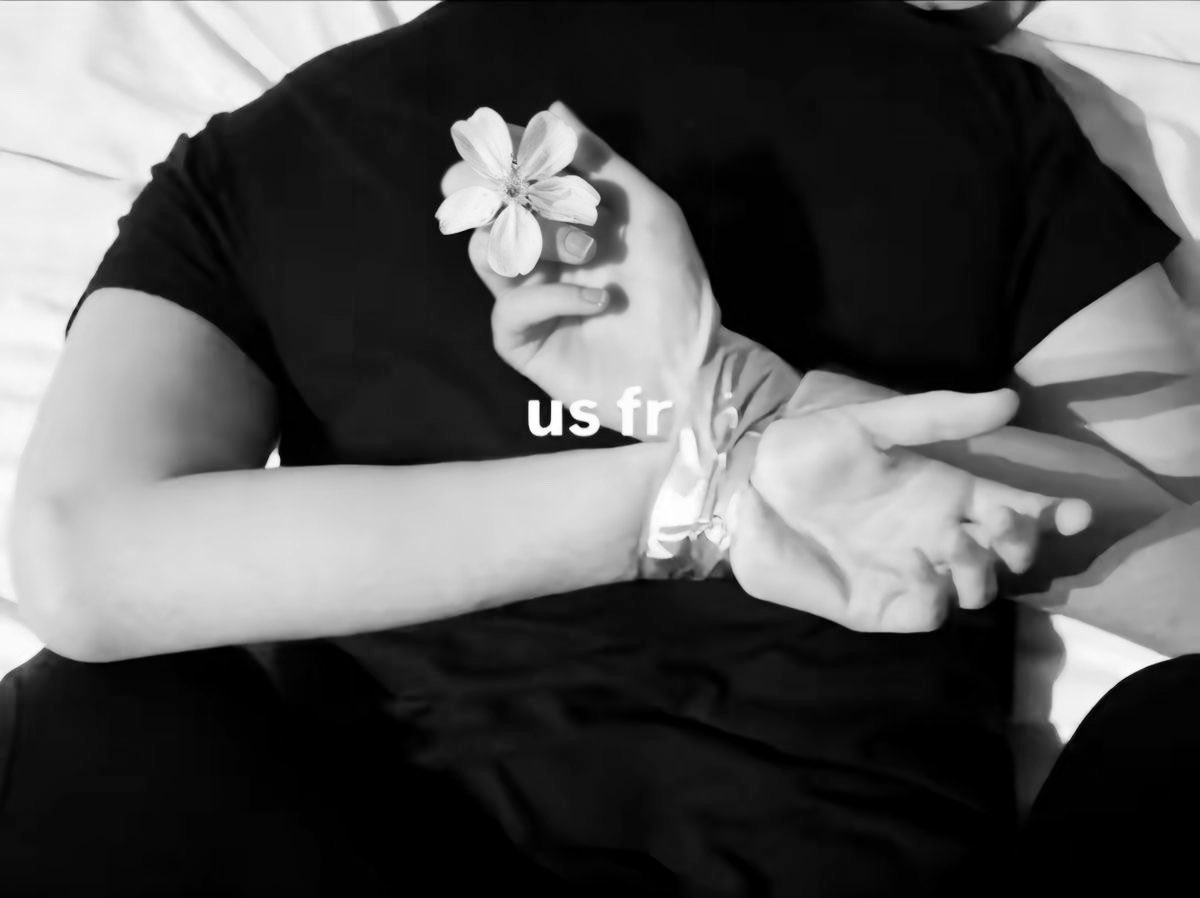 ✌︎︎ tweet media