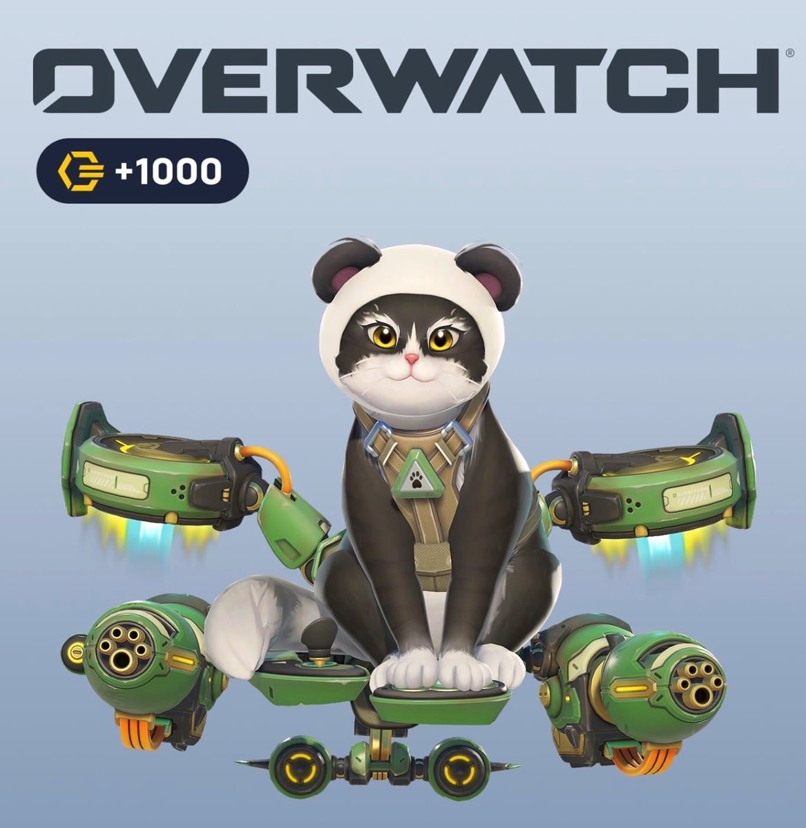 Little Good Bear tweet media