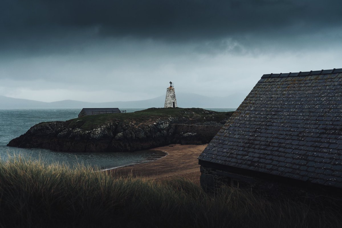 𝘄𝗮𝗻𝗱𝗲𝗿𝘁𝗿𝗮𝘃𝗲𝗹𝘀 tweet media