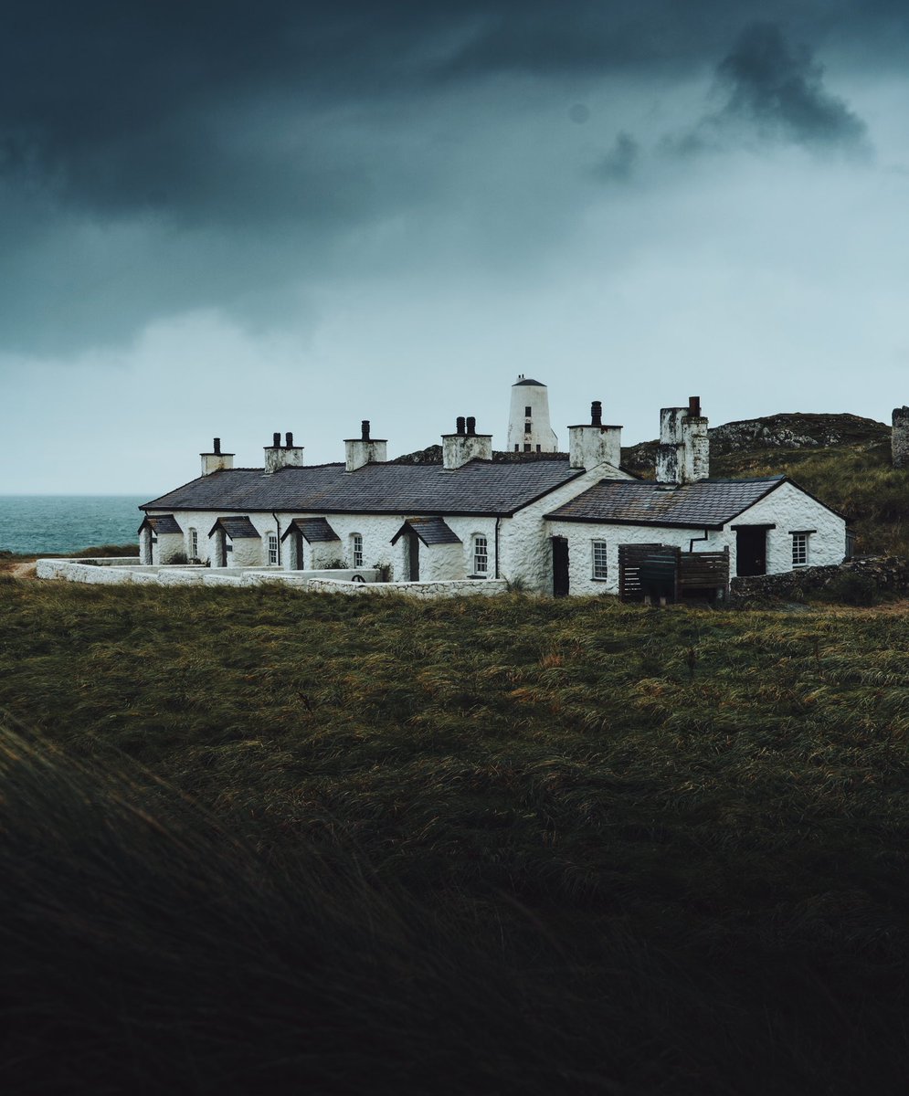 𝘄𝗮𝗻𝗱𝗲𝗿𝘁𝗿𝗮𝘃𝗲𝗹𝘀 tweet media