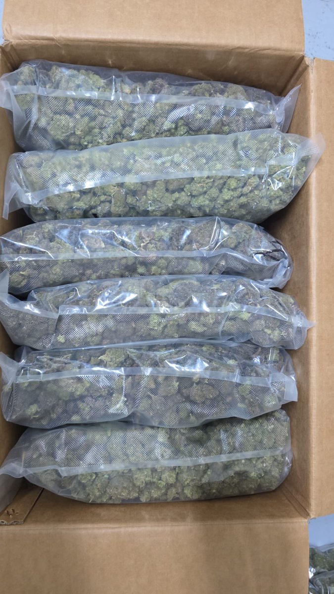 Green Club tweet media