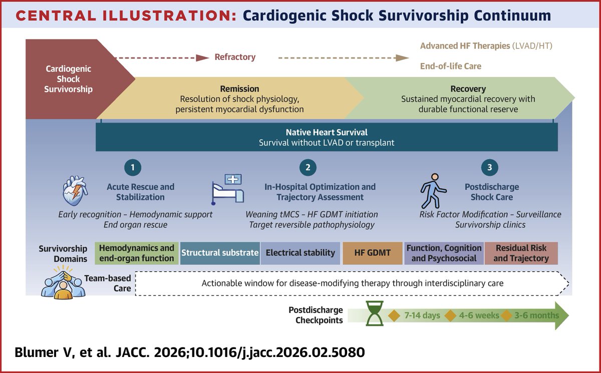 A #JACC State-of-the-Art Review outlines a multidisciplinary, longitudinal approach to cardiogenic shock care aimed at "providing a clinically actionable structure for care pathways, resource planning and future research."

Read more: 🔗 bit.ly/4mjILIA #CardioX