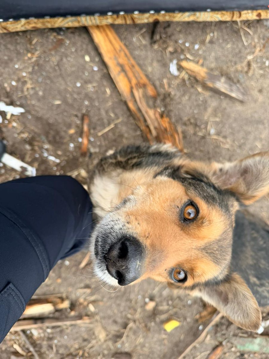 Сергій Погребецький tweet media