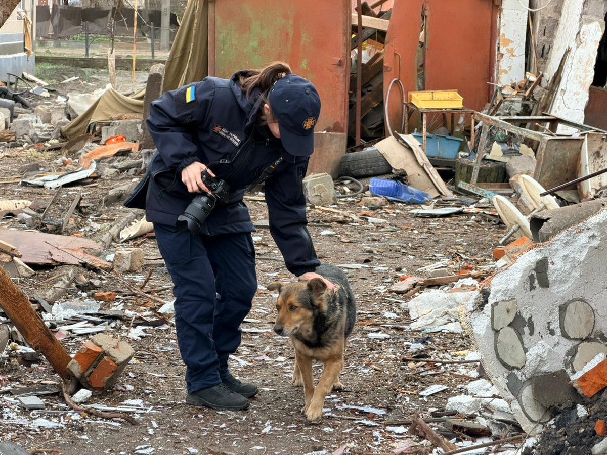 Сергій Погребецький tweet media