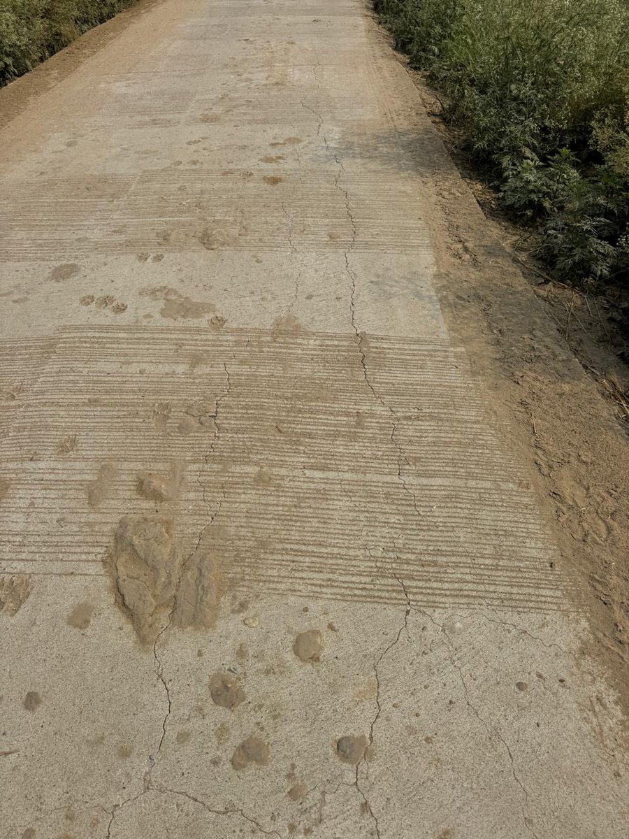 Adv. Samip Thakur tweet media