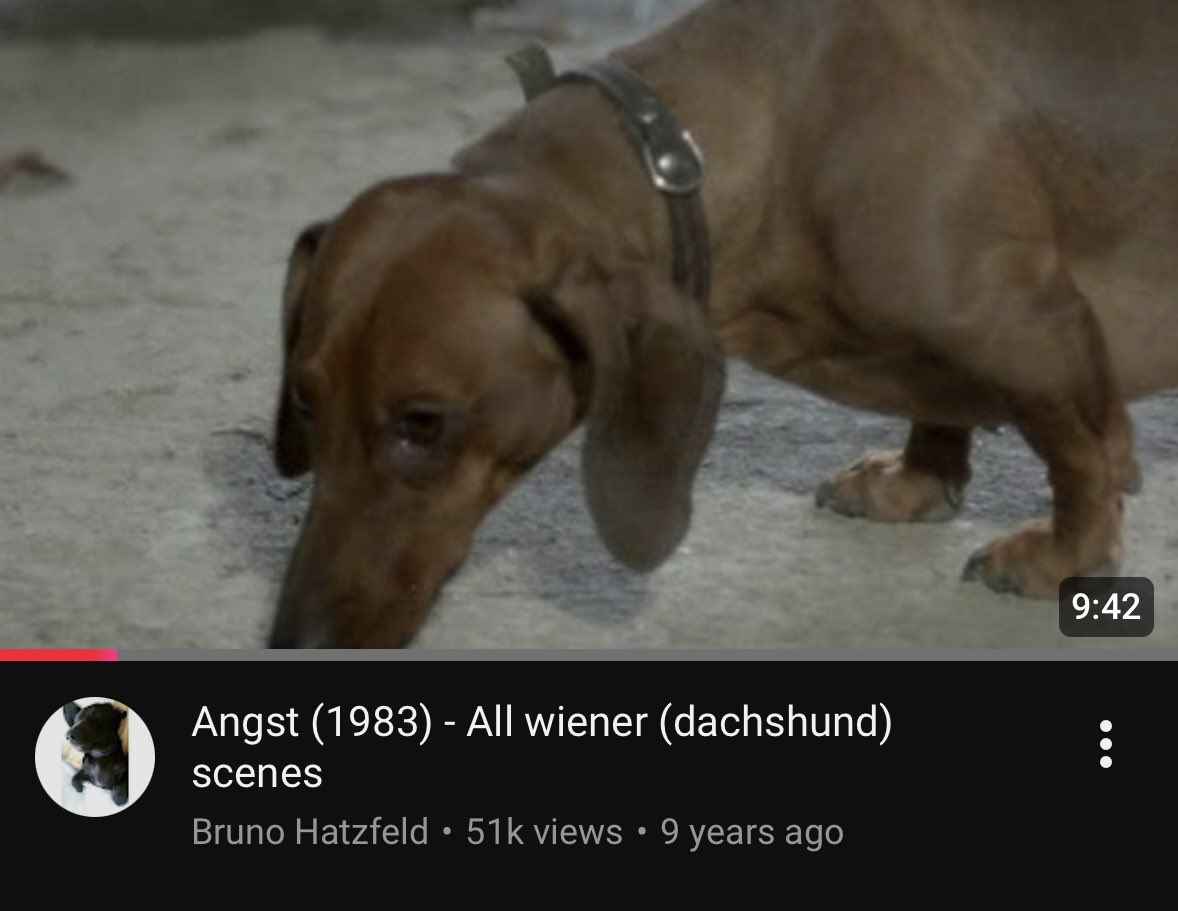 Disadvantaged Lucy (@dookie_time) on Twitter photo 