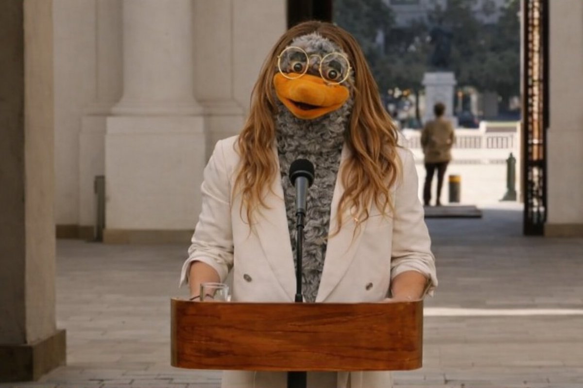 <a href="/R_SaavedraM/">Rodrigo Saavedra</a>