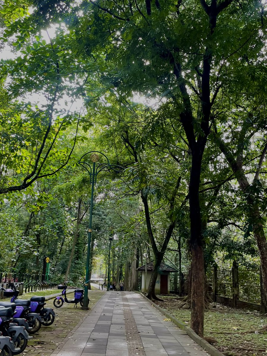 el ૮₍ ´ ꒳ `₎ა tweet media