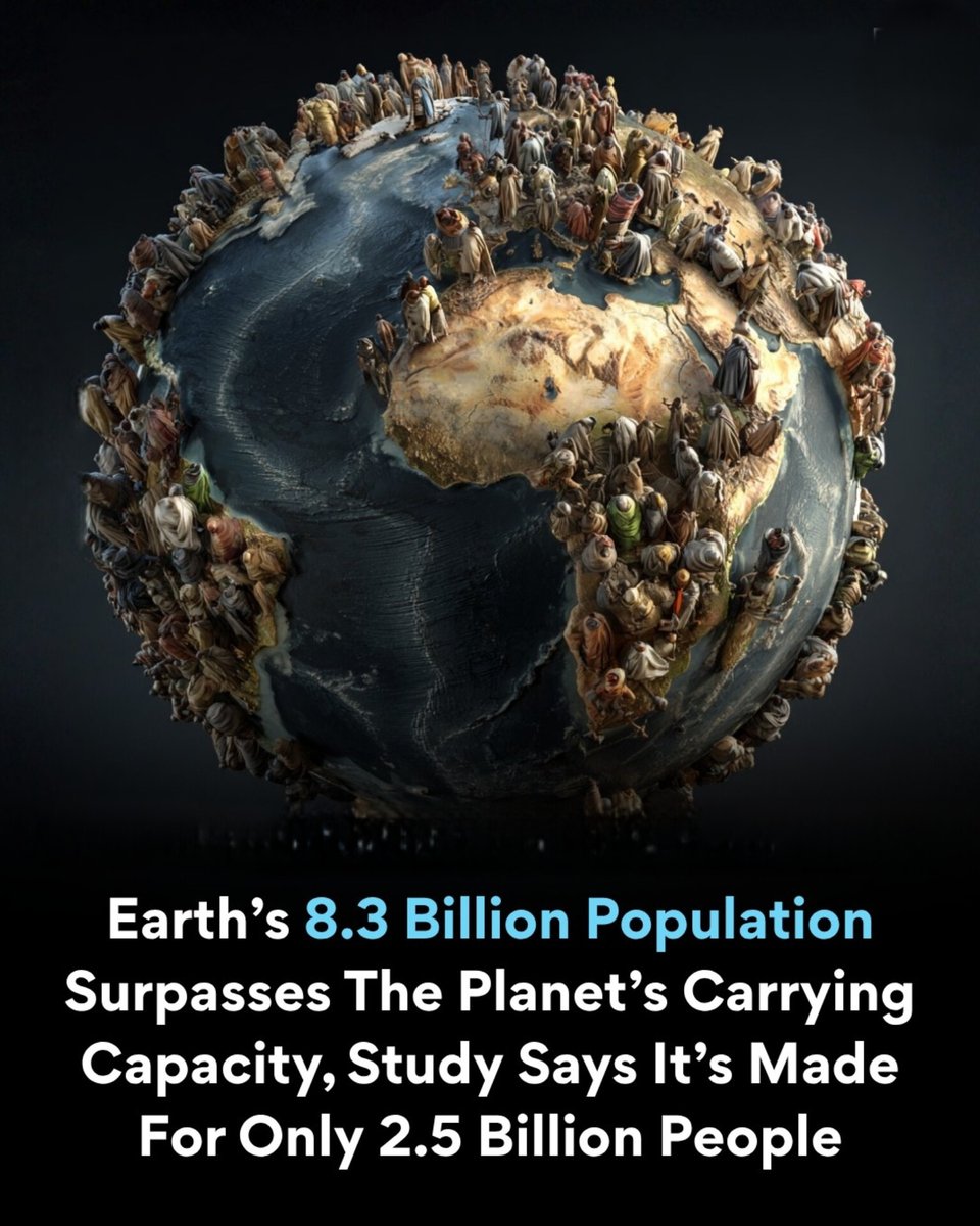 The World R🅰️nking tweet media