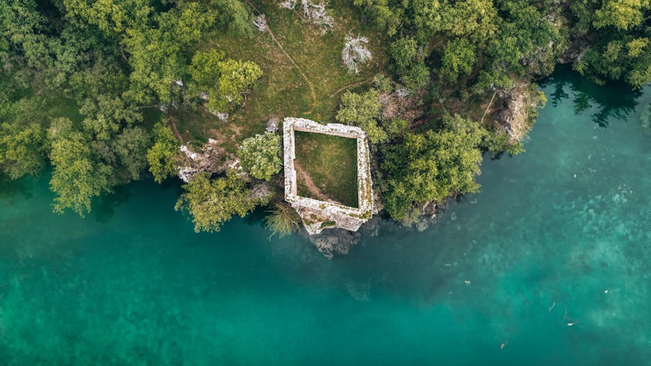 Lisa Chandler tweet media