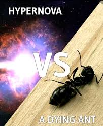 Cool username 👍 tweet media