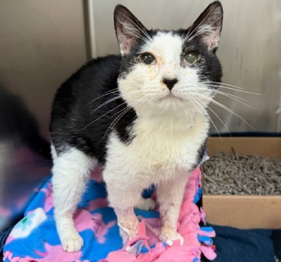 Jack5928 tweet media