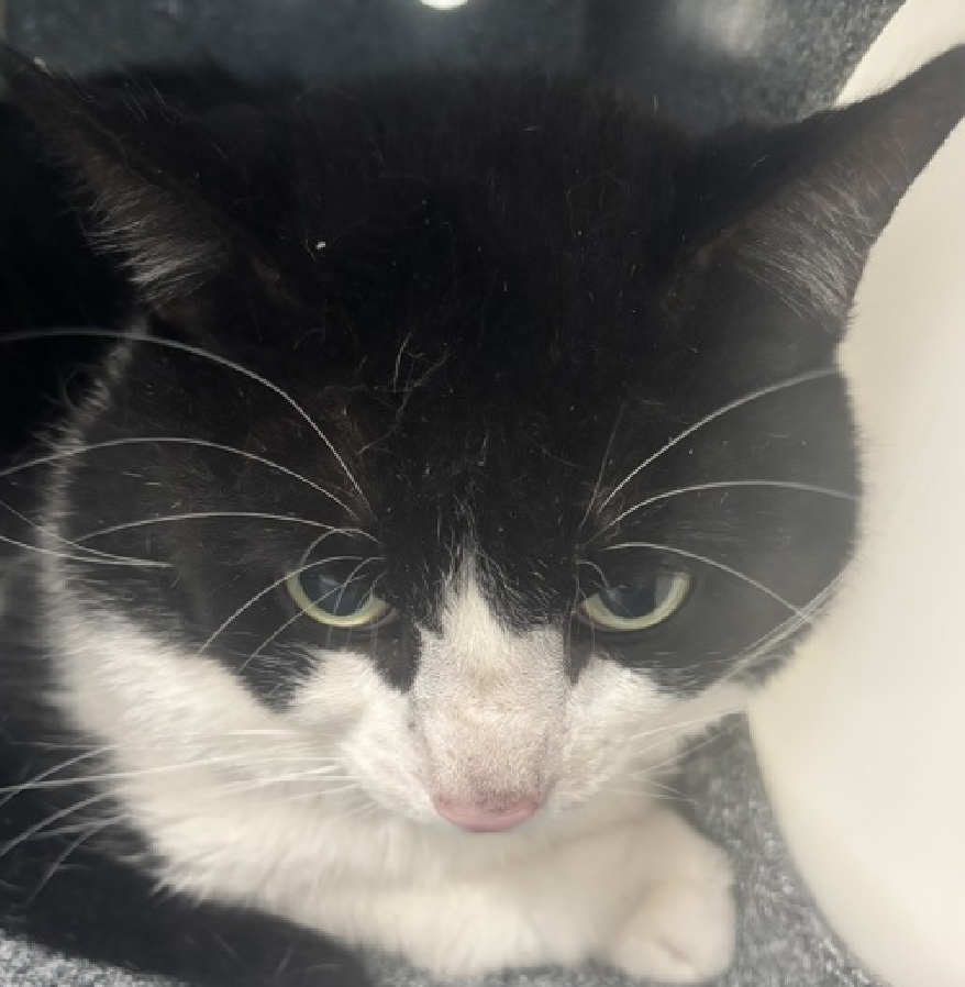 Jack5928 tweet media