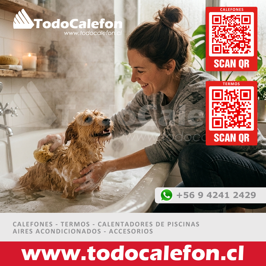 TodoCalefon tweet media