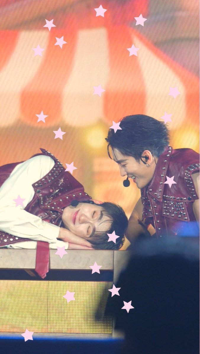 หมีสายลับ 🌲🎀 tweet media